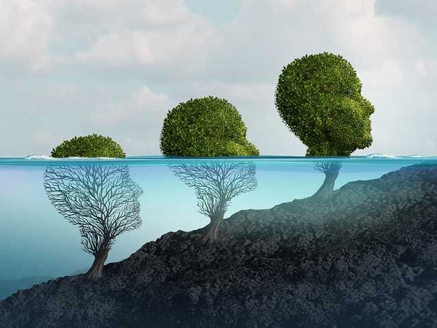 ضروریات تغذیه: تامین سوخت بدن برای سلامتی مطلوب